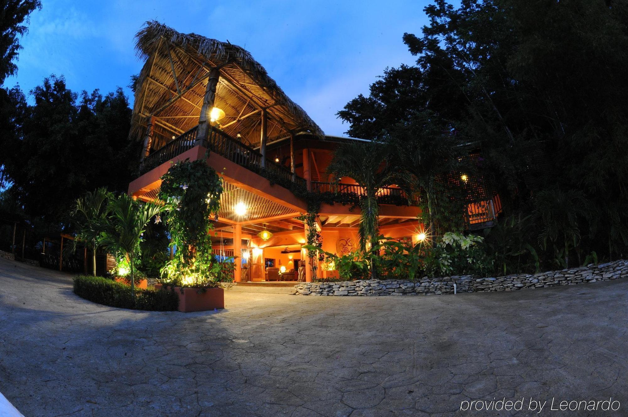 Machaca Hill Rainforest Canopy Lodge Punta Gorda Exterior foto