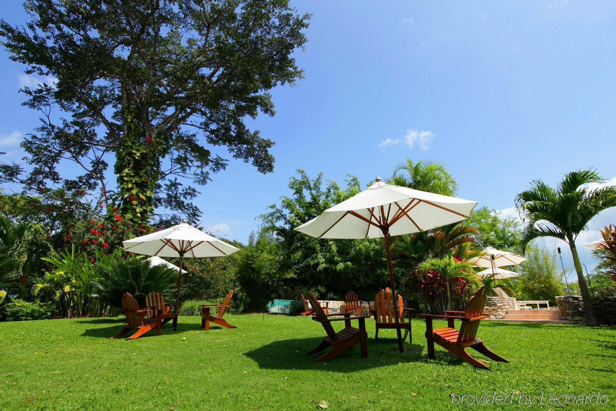 Machaca Hill Rainforest Canopy Lodge Punta Gorda Exterior foto