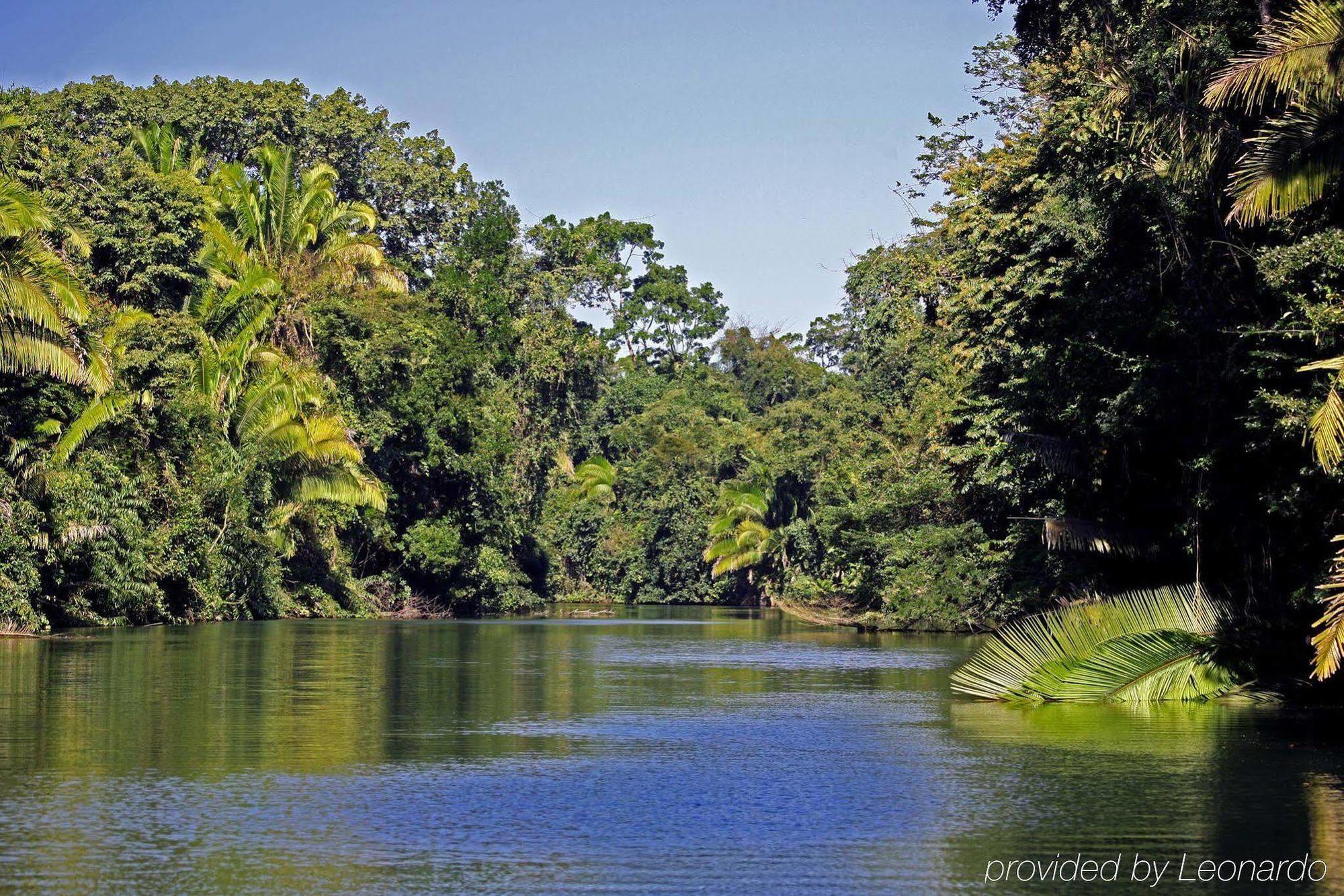 Machaca Hill Rainforest Canopy Lodge Punta Gorda Exterior foto